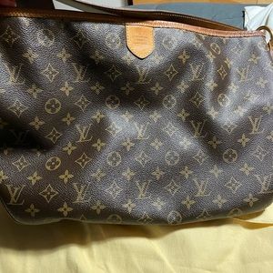 Louis Vuitton Delight MM bag.